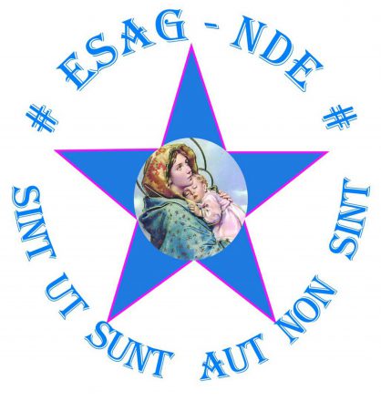 Logo ESAG-NDE